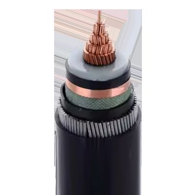 630mm2 High Voltage Power Cable with XLPE Insulation and Copper Screened for Power Transmission